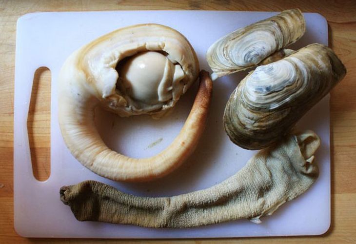 Разрезанная направляющая крыша Разрезанная направляющая крыша