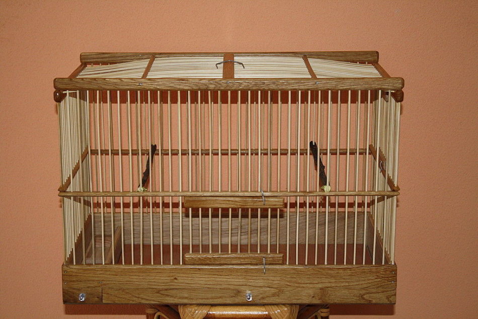 Где живет птичка Московка, так похожая на Воробья, но синица, как размножается и питается