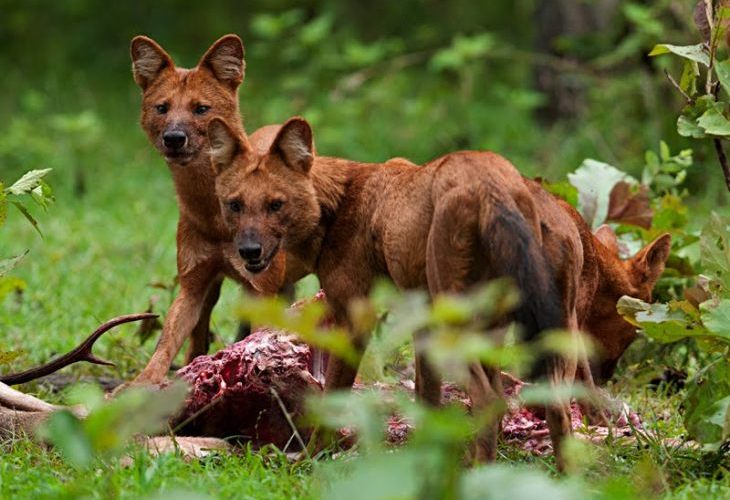 С изменением