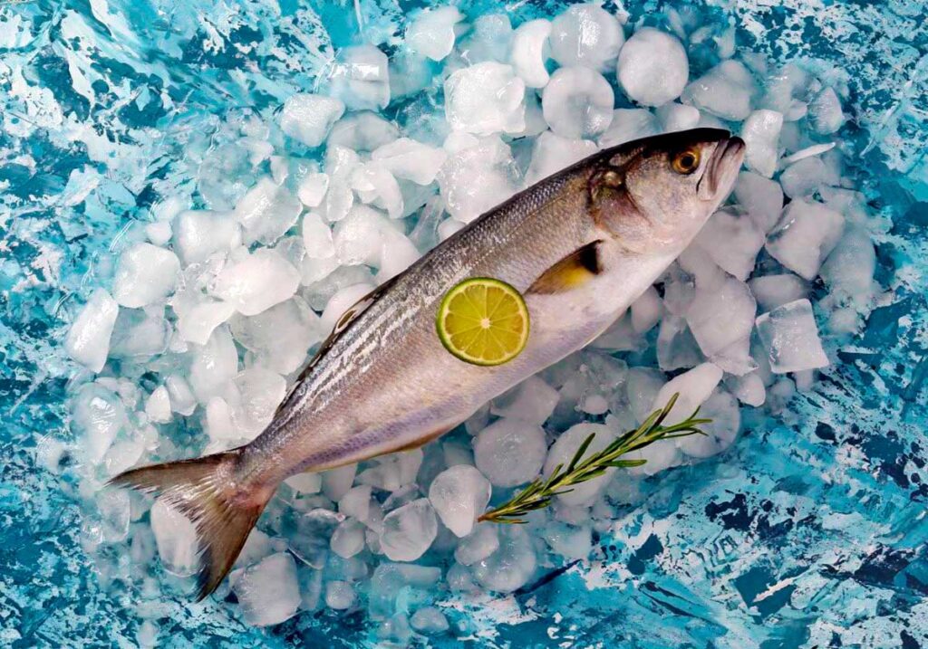 Рыба луфарь