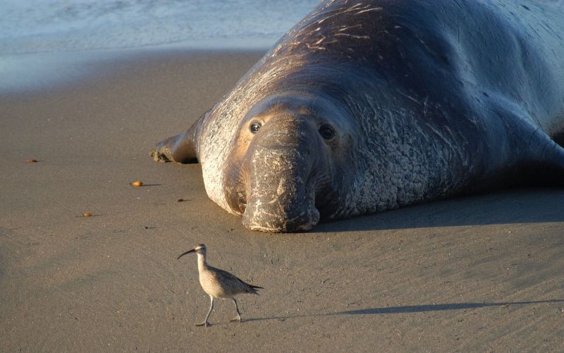 Расположен на побережье Расположен на побережье