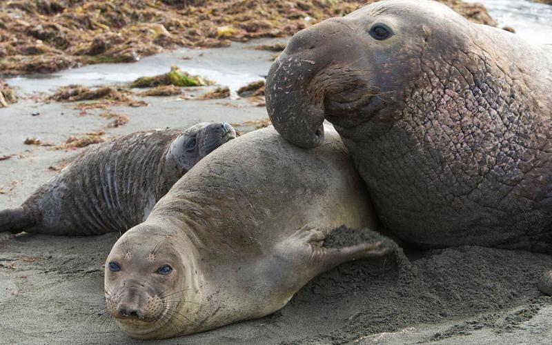 С молодым С молодым