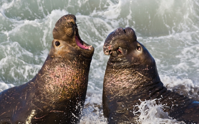 Женщина и мужчина Женщина и мужчина