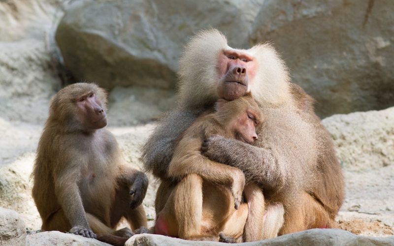 С молодым С молодым