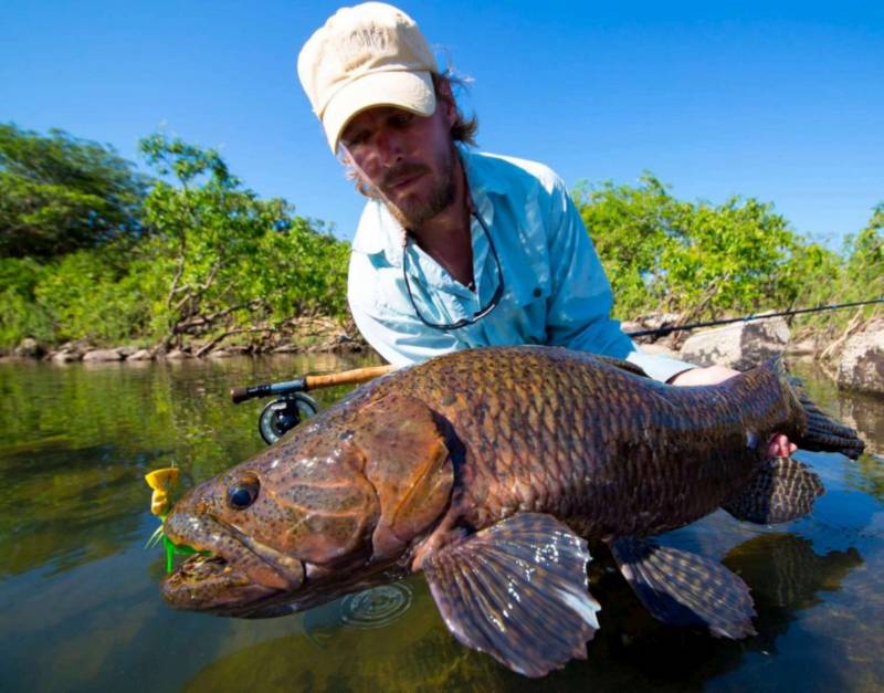 Древняя рыба арапайма: особенности, как выглядит и где обитает