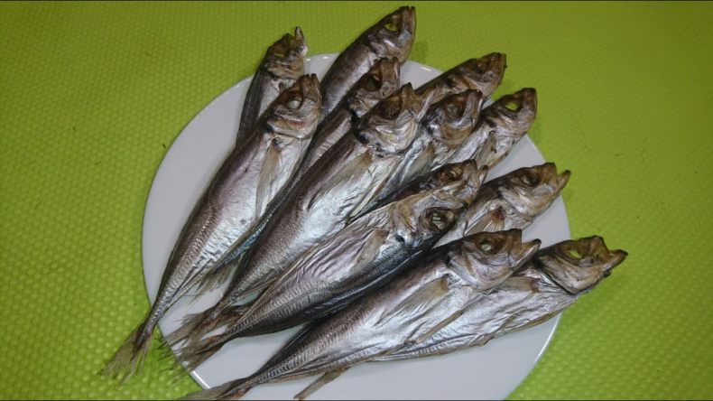 Ставрида (черноморская рыба): как ловить, места обитания, внешний вид, размеры, повадки, список самых уловистых приманок для ставриды