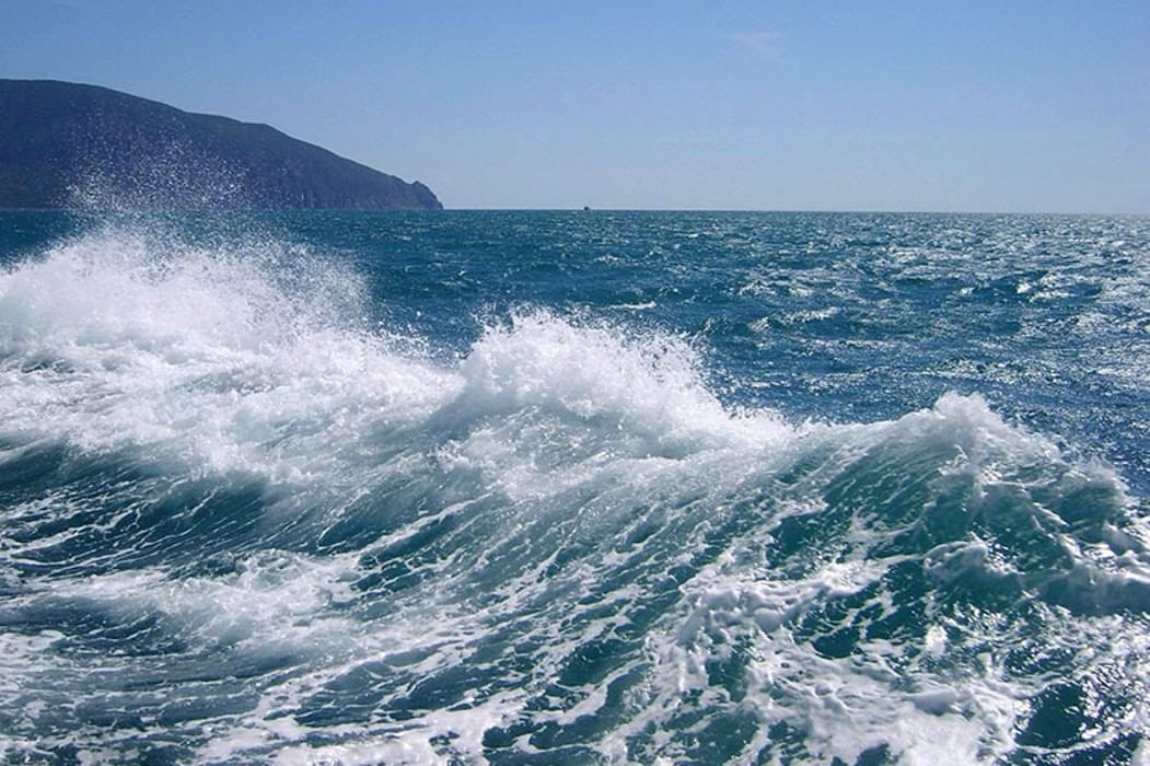 Чёрное море: описание водоёма, площадь, глубина, флора и фауна, климат, острова, история изучения