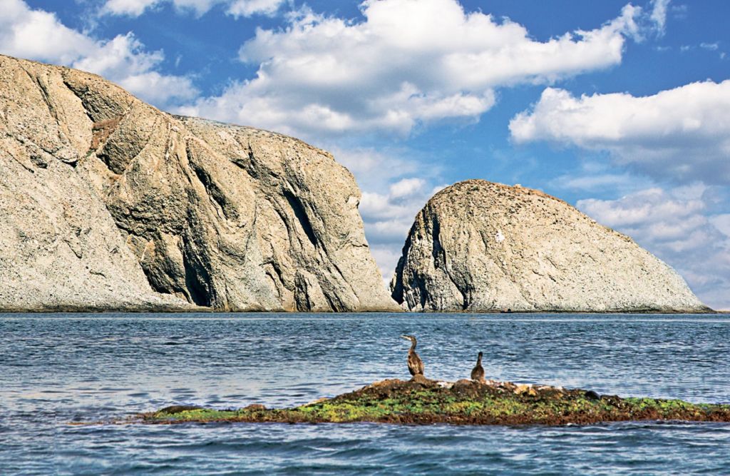 Чёрное море: описание водоёма, площадь, глубина, флора и фауна, климат, острова, история изучения