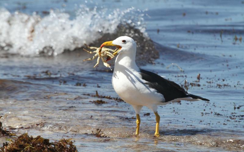 С изменением С изменением