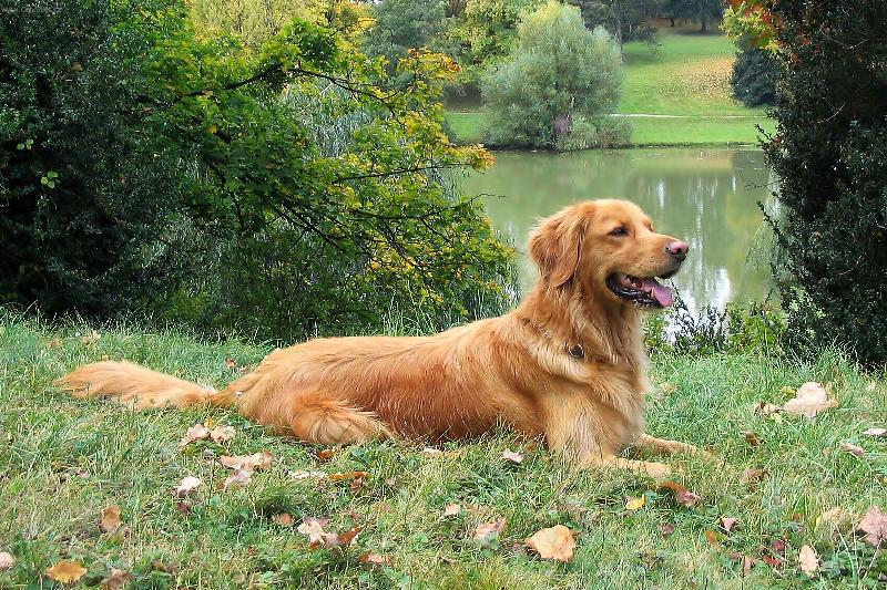 Ховаварт лежит у реки
