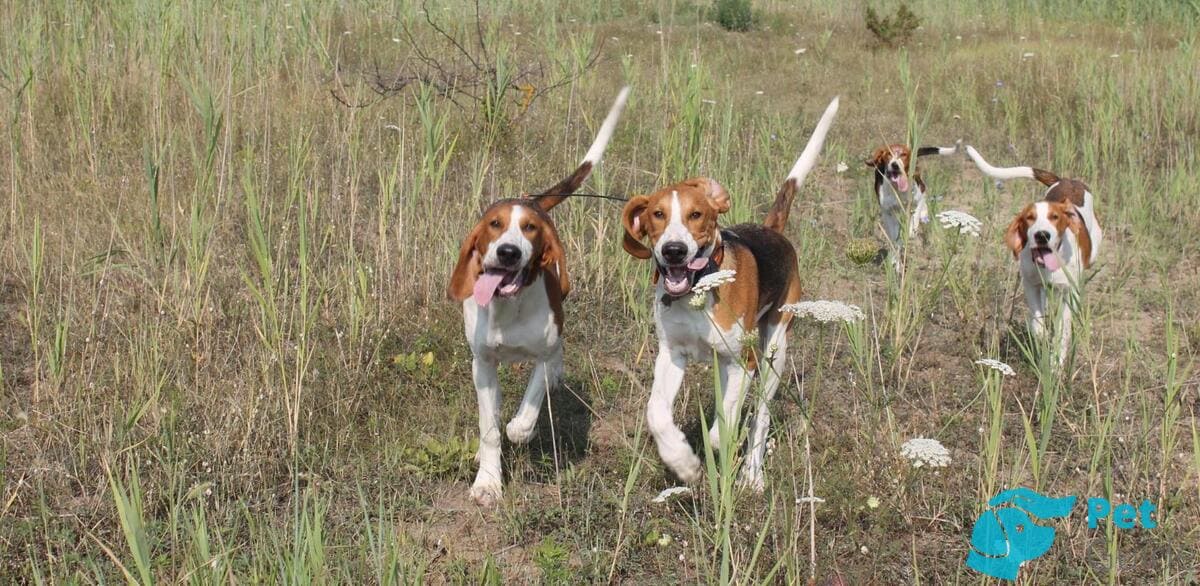 Интересные факты и особенности РПГ Интересные факты и особенности РПГ