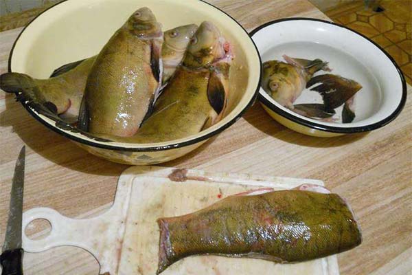 Как чистить Сутер