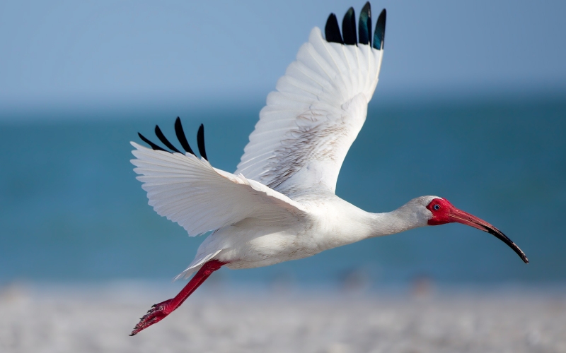 В полете В полете