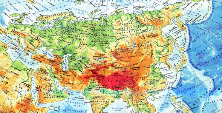 серый журавль 2