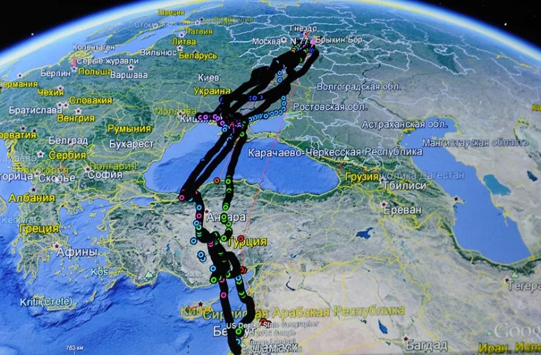 серый журавль 20