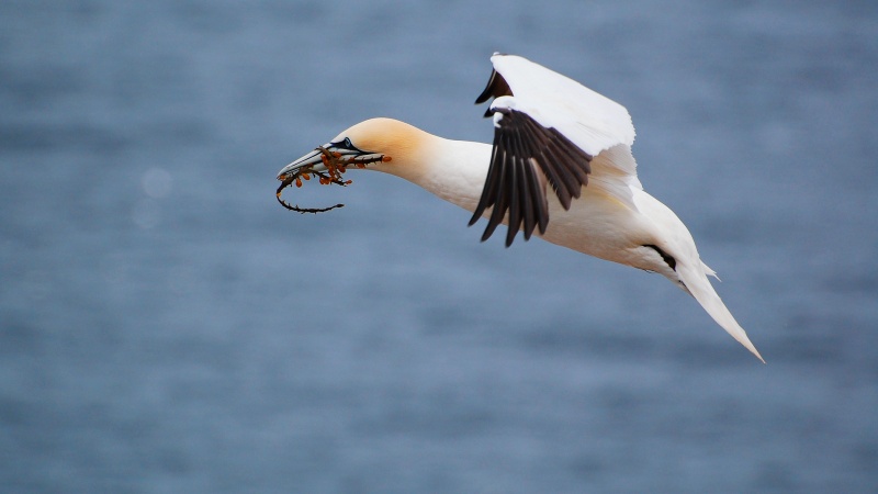 В полете В полете