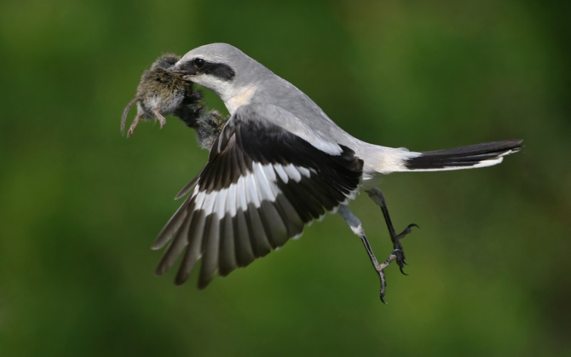 С изменением С изменением