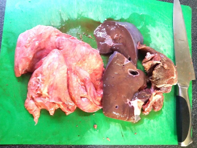 Воспитание щенка немецкой овчарки по месяцам: основные правила, социализация и первые команды