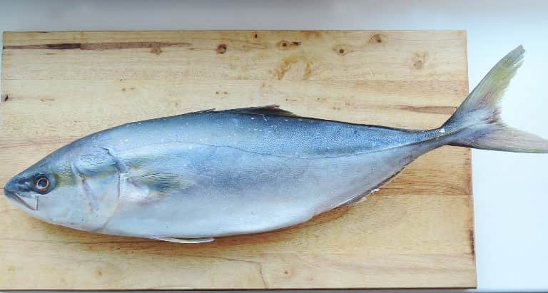 Что за рыба желтохвост – как приготовить, рецепты, отзывы, фото желтохвоста