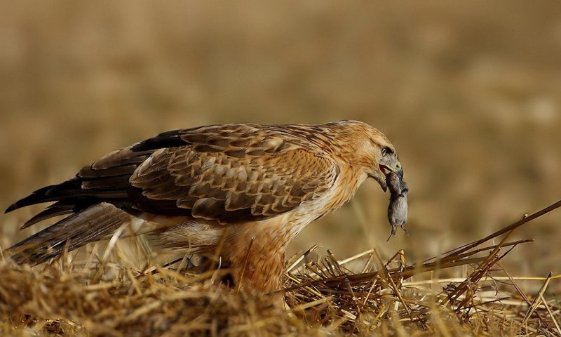 С изменением С изменением