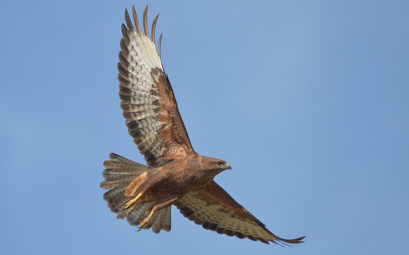 На ходу На ходу