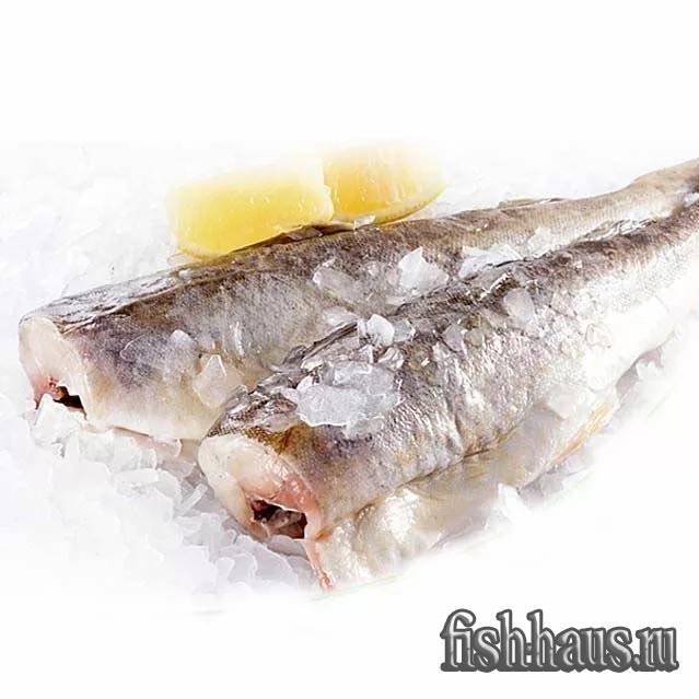 Kaloriinnhold i safrantorsk og gunstige egenskaper til kjøtt kaloriinnhold i safrantorsk