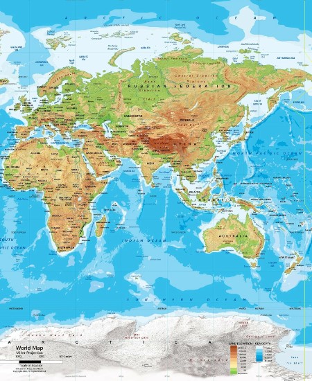 птица варакушка 10