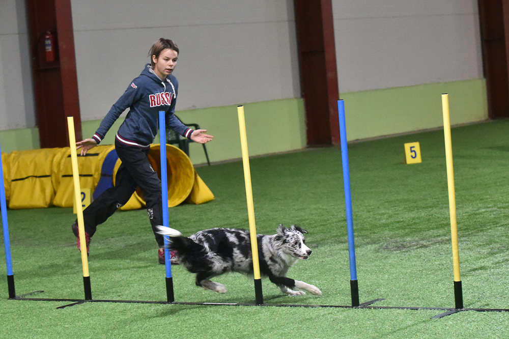 Девушка, собака, препятствия