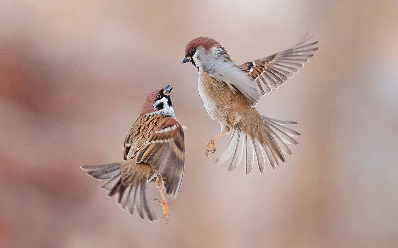 На ходу На ходу