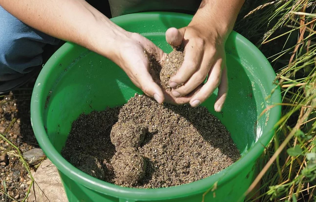 Ловля линя осенью в сентябре, октябре, ноябре на поплавочную удочку, фидер, донку - на что клюет, наживки, насадки