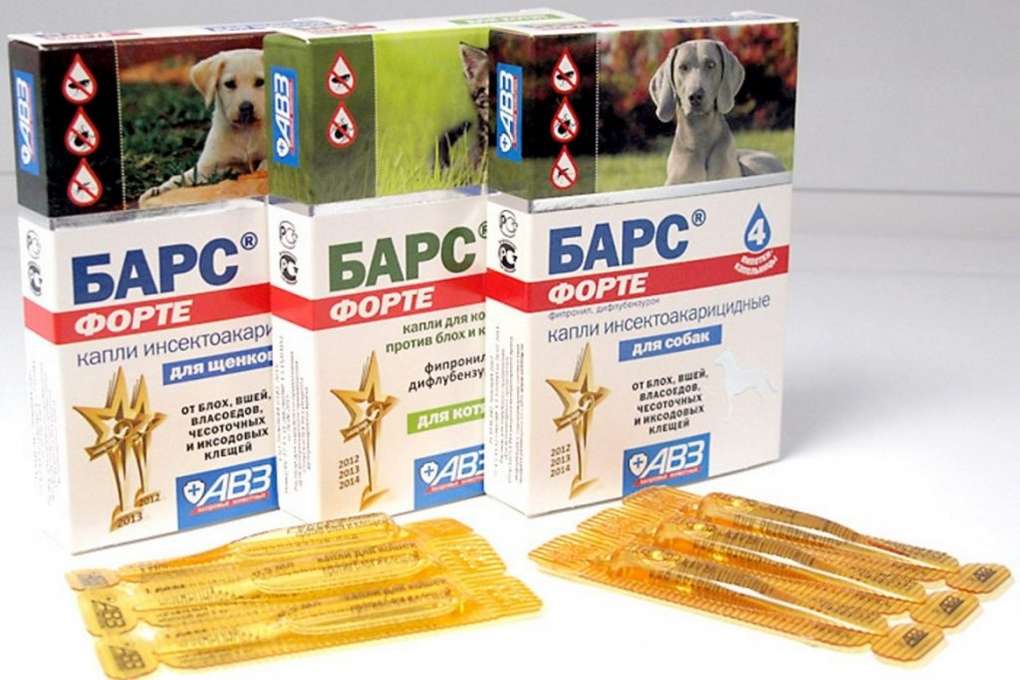 Собаку укусил клещ: симптомы, что делать, признаки, последствия, лечение