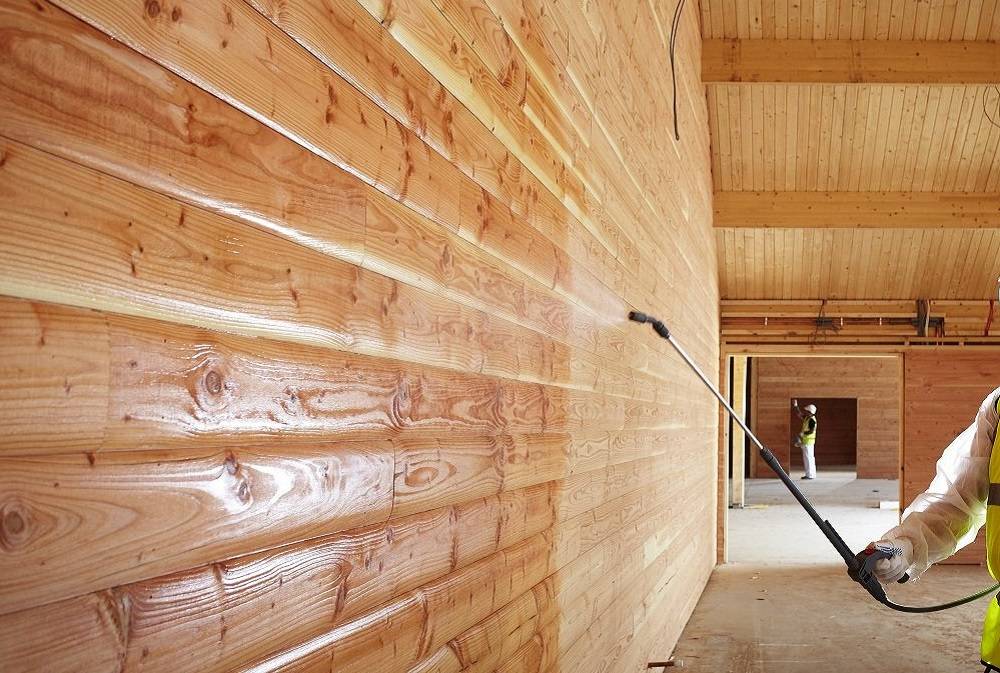 Жук-короед в деревянном доме: способы борьбы с точильщиком в домашних условиях