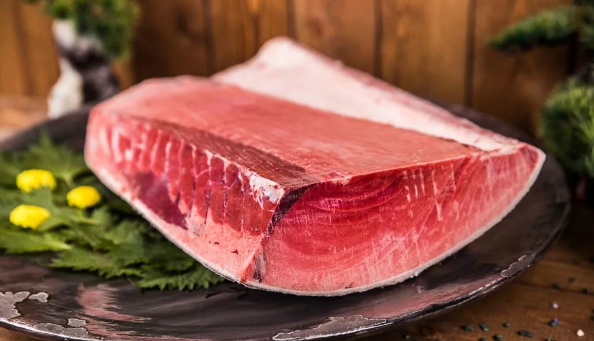 Быстрая и дорогая рыба: все о голубом тунце – где обитает, виды, описание