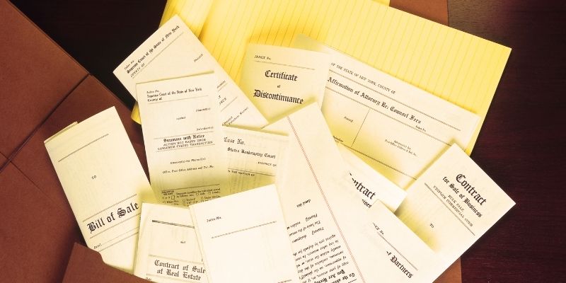 Порода кошек Гавана: история происхождения