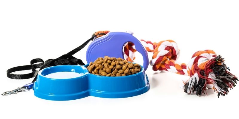 Порода кошек Гавана: история происхождения