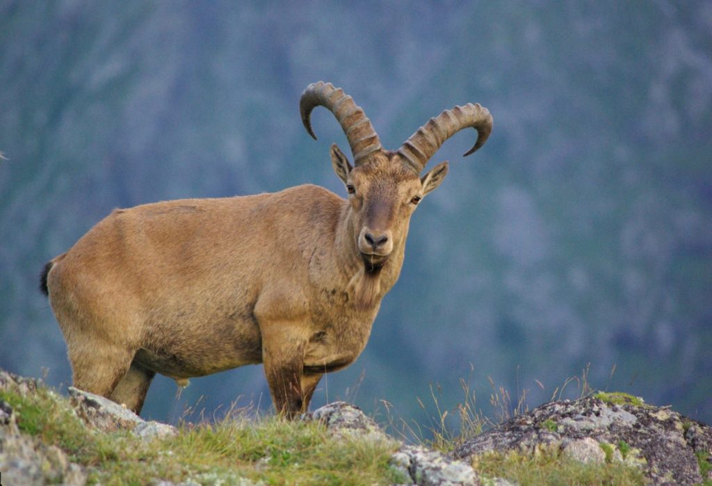 Западно-Кавказское путешествие