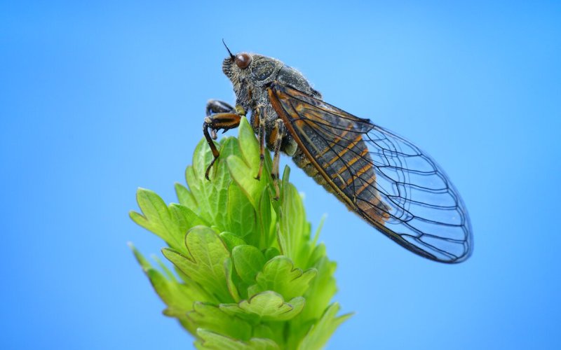 Песня бункера