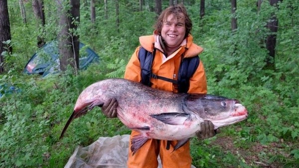 Самый большой толстолобик: пойманный в мире и России, вес кг, какой выловленный толстолоб попал в Книгу рекордов: размер, длина