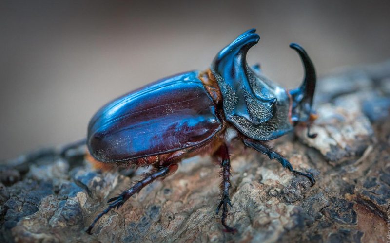 Отображение страницы