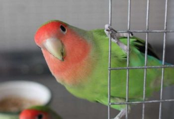 картинка 230523_10