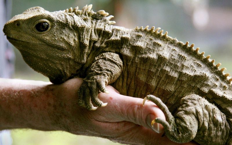 В руке В руке