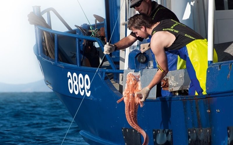 Ловля конгрио Ловля конгрио