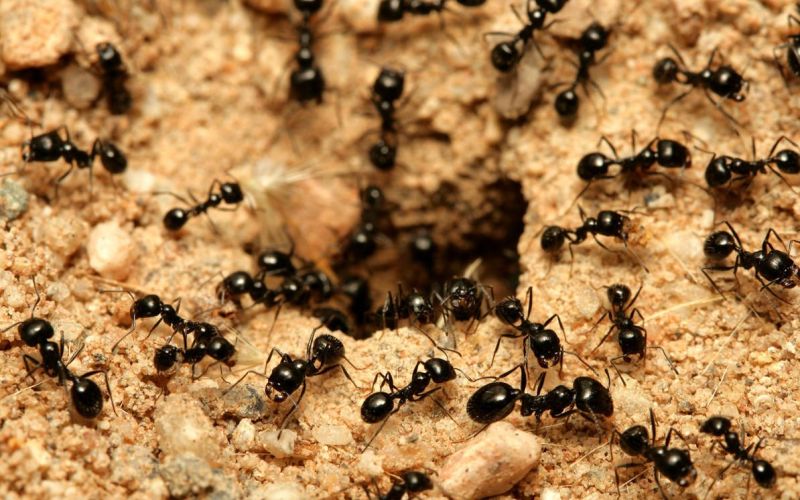 На земле На земле