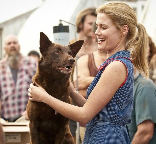 австралийский келпи с владелицей Келпи с хозяином