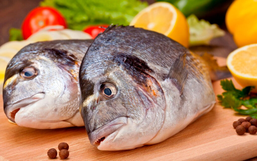 Рыба Дорада