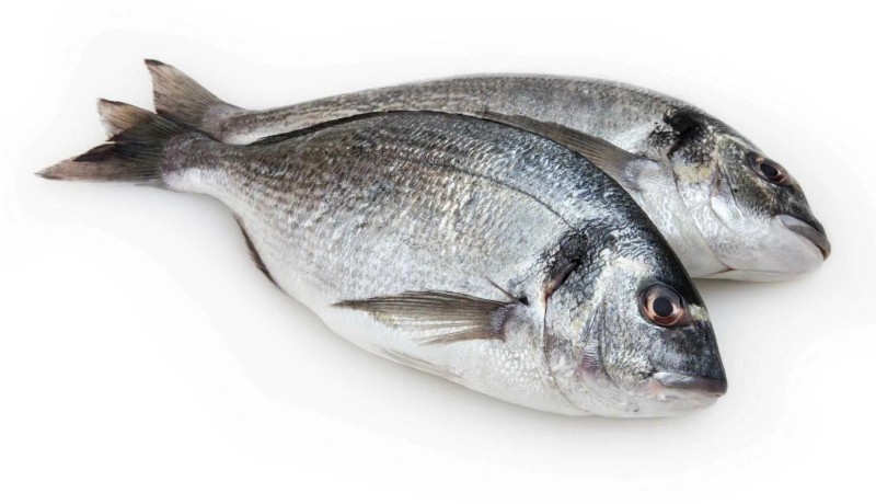 Маленькая рыба