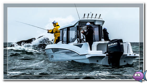 Ловля барракуды Ловля барракуды