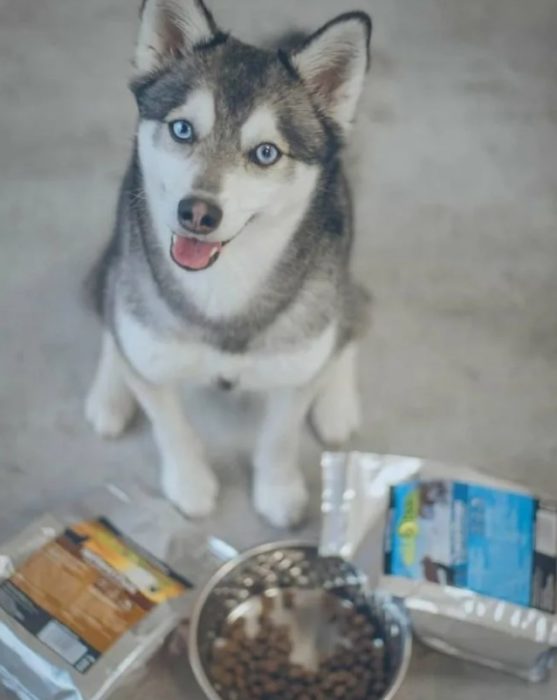 Как кормить кли-кая Корм для кли-кая