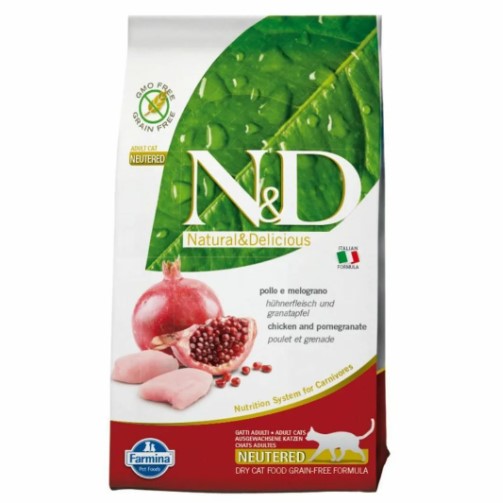 Скиф той боб: описание породы, стандарты, уход и организация питания