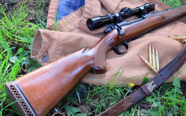 Убойные места лося - куда нужно целиться, область поражения сохатого